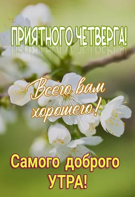 Вместо 1000 слов | Facebook