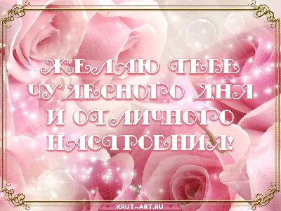 Пожелания хорошего дня в картинках, своими словами, в стихах, в смс и  христианские пожелания доброго дня — Украина