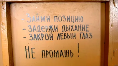 Купить Абстрактный Юмор, Вонючий Запах, Веселая Ванная, Украшение Стены  Туалета, Искусство Печати Плакатов | Joom