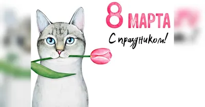 Что ТВОРЯТ Пьяные Девушки 8 МАРТА ❤️ подборка УГАРНЫХ Приколов - Дизель Шоу  2020 - YouTube