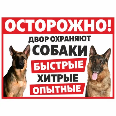 Табличка Осторожно злая собака. Прикол с надписью на суржике  (ID#1551994793), цена: 111 ₴, купить на Prom.ua