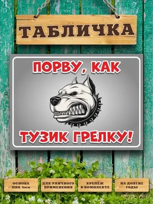 Приколы про милых собак - так спать умеют только они | Мир домашних  животных | Дзен