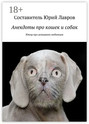 Табличка, Прикол Злая собака 113051099 купить в интернет-магазине  Wildberries