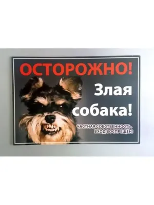 собака 2018 » uCrazy.ru - Источник Хорошего Настроения