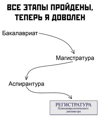 чихуахуа :: собака / смешные картинки и другие приколы: комиксы, гиф  анимация, видео, лучший интеллектуальный юмор.