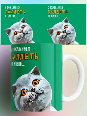 Анекдоты про жизнь в России | MAXIM