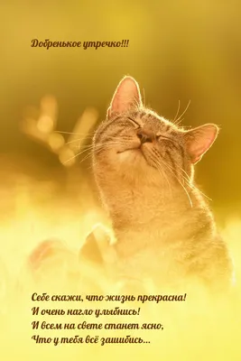 Профессорятник»: байки, приколы, эссе. (Из жизни ленинградских географов)  (Юрий Гладкий) - купить книгу с доставкой в интернет-магазине  «Читай-город». ISBN: 978-5-44-759656-9