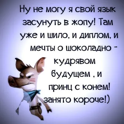 Убойные приколы, которые наполнят жизнь позитивом (42 фото)