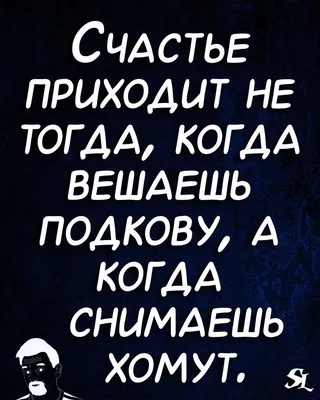 СУМКА шоппер Прикол. Йети цветы жизни CoolPodarok 26567685 купить за 419 ₽  в интернет-магазине Wildberries