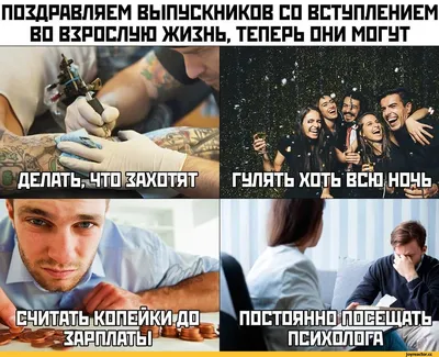 Шутки.Прикол.Юмор.Мемы.Жизнь.Jokes. Funny.Humor.Memes.A life.Chistes.El  humor. Memes.La vida.Gracios | Phrase of the day, Quotations, Humor