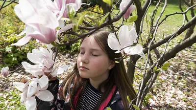 Приметы весны 2024 для детей: как определить по природе, что нас ждет весной