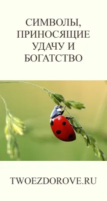 Иллюстрация 6 из 9 для Куклы-мотанки. Обереги для вашего дома, приносящие  удачу, богатство, изобилие и счастье - Ольга Тарасова | Лабиринт - книги.  Источник: kupavna2