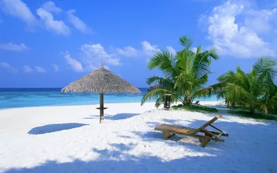 Обои на рабочий стол: Лето, Пляж, Море, Пейзаж - скачать картинку на ПК  бесплатно № 16470
