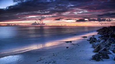 лес природа море пальмы дорога песок горы закат Stock Photo | Adobe Stock