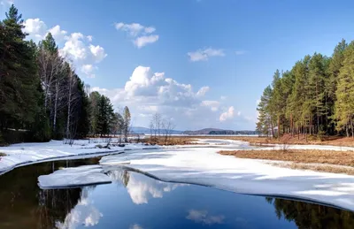 Ранняя Весна - красивые фото