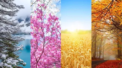 Обои лето, природный ландшафт, Люди в природе, природа, поле для iPhone 6,  6S, 7, 8 бесплатно, заст… | Beautiful nature scenes, Nature photography,  Beautiful nature