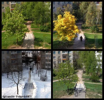 HD картинки природа - лето зима весна осень, скачать обои 2560x1600  высокого качества