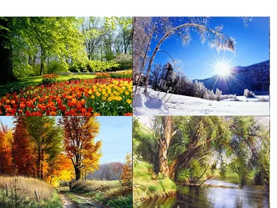 Времена года зима Весна лето осень (67 фото) - 67 фото