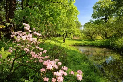 Красивые пейзажи природы весной (135 фото) »