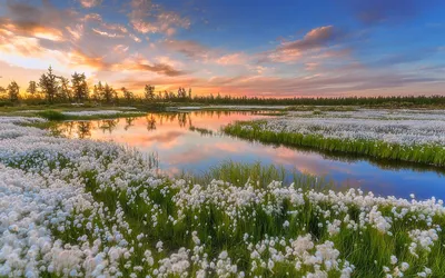 Красивые картинки природы весна - 68 фото