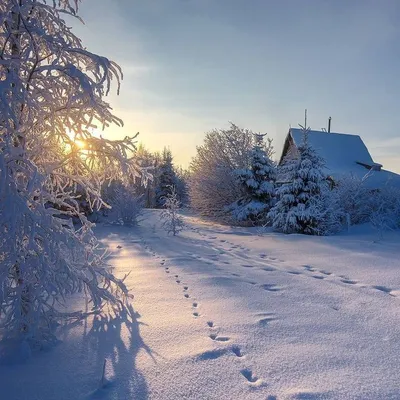 КРАСИВЫЕ КАДРЫ on Instagram: “Доброе утро, друзья! ⠀ 🌲🌟⛄❄ А за городом  зима, зима, зима!....😍❄❄ Ленинградская область. Приоз… в 2023 г | Пейзажи,  Фотография природы, Зима