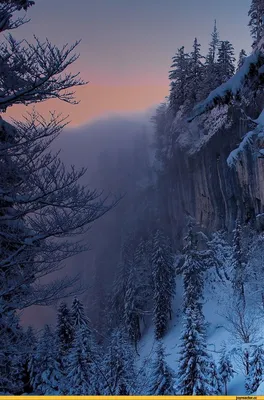 Природа: Зима (50 фото) Снежная зима. Снеговик. Вьюга. Метель. Морозы.