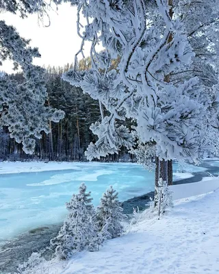 Фенаминальная красота природы зима …» — создано в Шедевруме