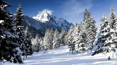 Красота природы, зима, большой …» — создано в Шедевруме