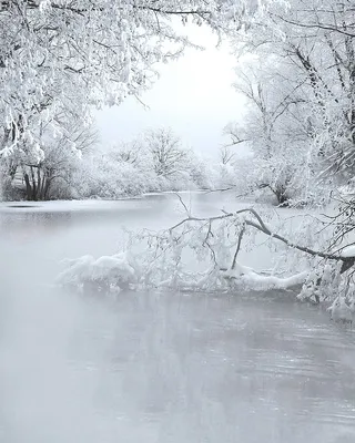 Красота зимы » BigPicture.ru