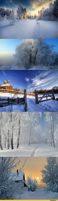 Фотообои природы, фото зима