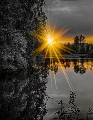 фото черно-белое природа рассветы: 7 тыс изображений найдено в  Яндекс.Картинках | Splash photography, Color splash photo, Color splash  photography