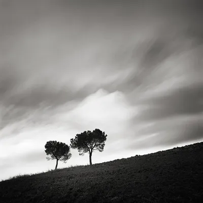 Чёрно-белый пейзаж. | Пикабу
