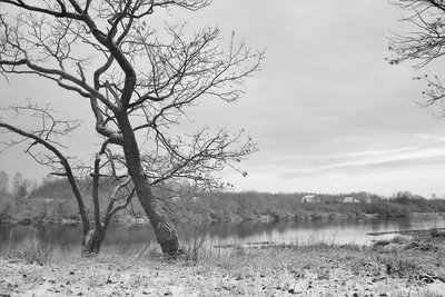 Чёрно-белые фотографии природы