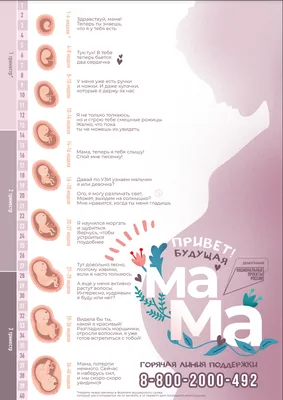 Фильм – ПРИВЕТ, МАМА