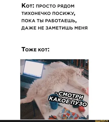 Привет ☀️ милый котёнок машет …» — создано в Шедевруме