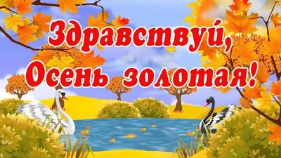 С первым днём осени. Привет, осень. 60 уютных картинок! | Осень, Нежности,  Праздничные открытки