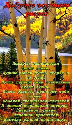 привет осень текст с листьями клипарт прозрачный фон PNG , привет осенью,  привет осенняя надпись, буквенное обозначение PNG картинки и пнг рисунок  для бесплатной загрузки