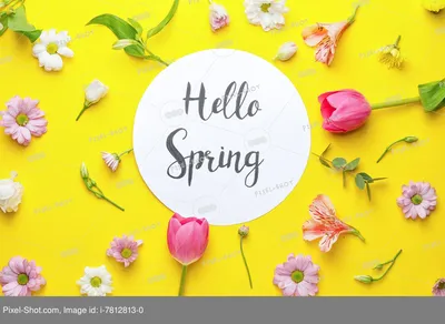 привет весна красивые открытки - RozaBox.com