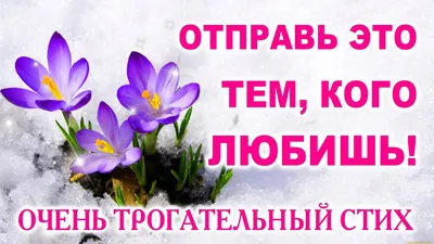 Букет с яркими тюльпанами «Привет, весна!», от 2700 руб.