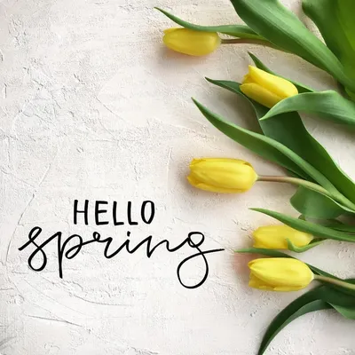 28 отметок «Нравится», 1 комментариев — ＭＵＺＡ (@muza_olesya) в Instagram: «Привет  весна Мастерю фотофоны для работы и #fla… | Happy spring day, Hello spring,  Spring