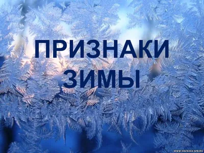 Признаки зимы. Фотограф Липецких Владимир