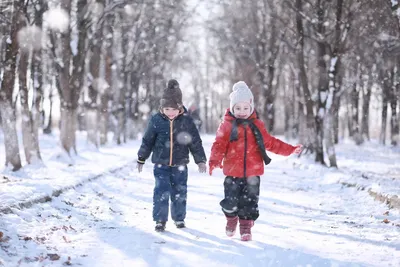 Адвент-календарь для малышей от полутора до трёх лет (некоторым можно с  1,3). Что входит в календарь: 🎁Зимние задания 🎁Признаки зимы… | Instagram