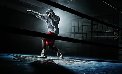 Бокс в Красноярске: Индивидуальная тренировка по боксу