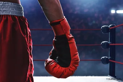 Бокс Женщина-боксер в перчатках, стоящая на стене, готова Стоковое Фото -  изображение насчитывающей удар, персона: 163971784