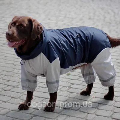 Купить Прак-тик для очень больших собак 22-50 кг 5 мл, 3 пипетки в Киеве,  Украине ≡ Цена 595.00грн Zooleader