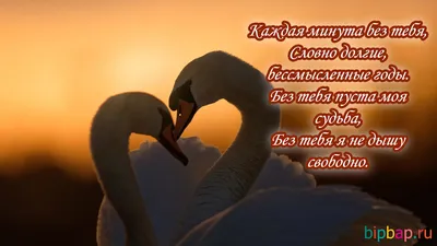 Лучшие цитаты про любовь. Про любовь со смыслом. #любовь #отношения -  YouTube