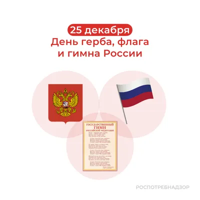 Ежегодно 19 ноября в России отмечают памятный день и свой профессиональный  праздник ракетчики и артиллеристы - День ракетных войск и артиллерии /  Администрация городского округа Ступино