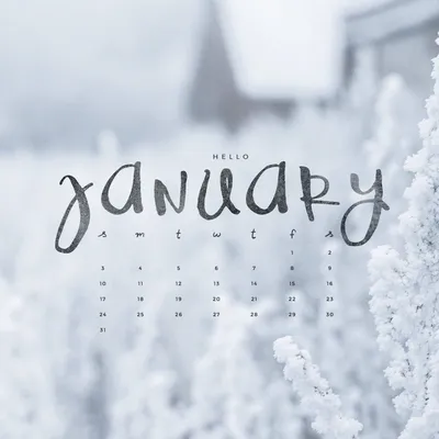 Январь: контрольный список (10 вещей, которыми стоит заняться в январе) |  Организованная жизнь | Дзен