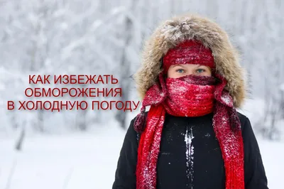 Ежиха Пуговка и сурок Фрол предсказали россиянам холодную весну - Delfi RU