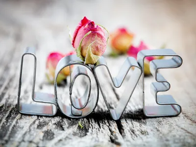 Обои Love, роза, любовь, надпись на рабочий стол